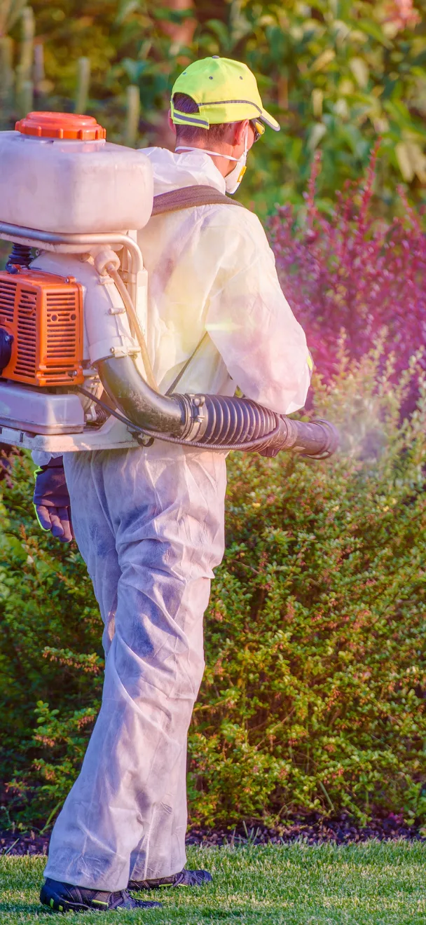 Modern Eco-Safe Pest Control